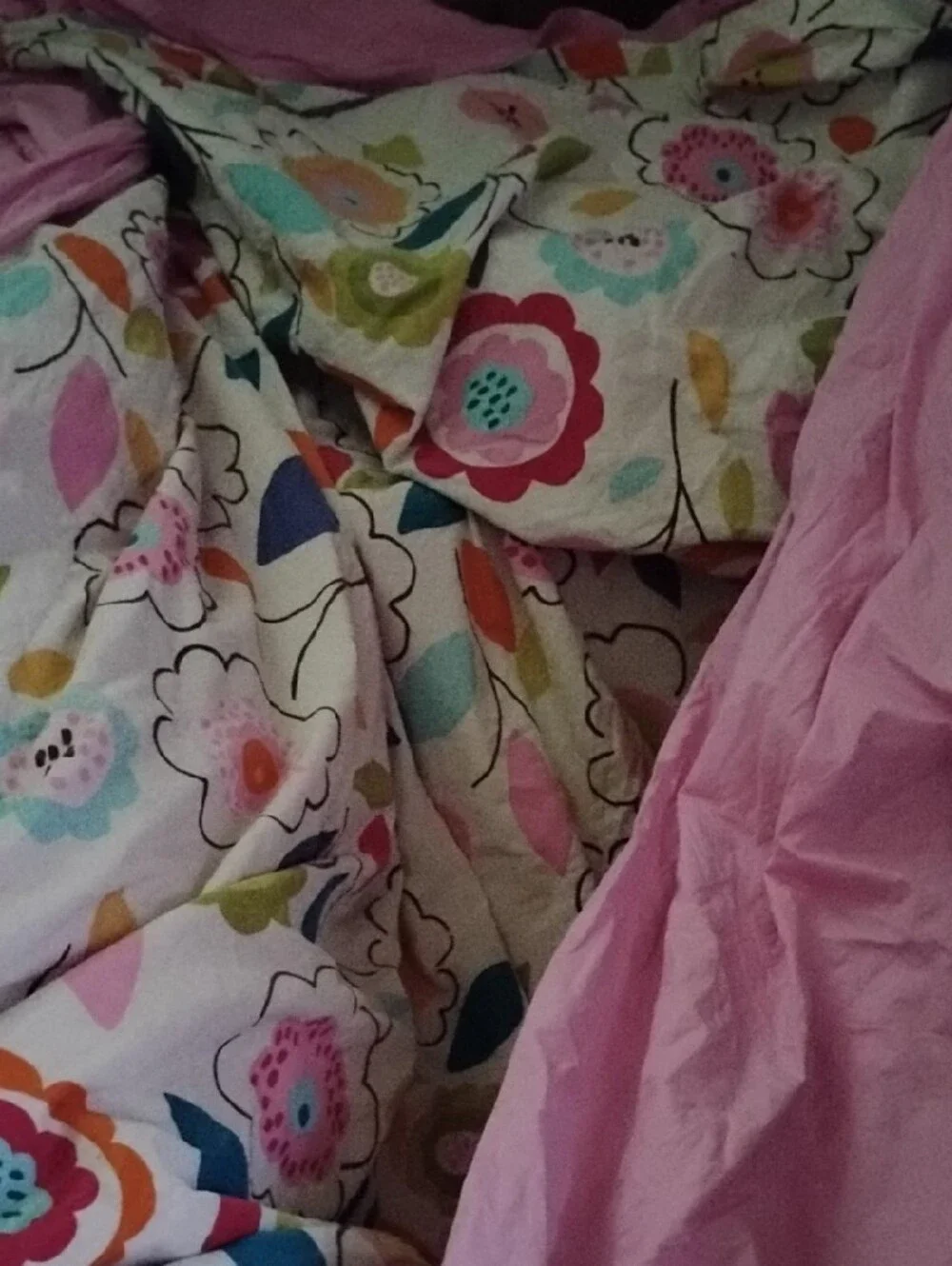 Pottery Barn Teen Floral Multicolor Duvet Cover - & pillow Case.Used Condition